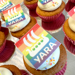 LGBTQ consultant collaboration with Yara Belgium